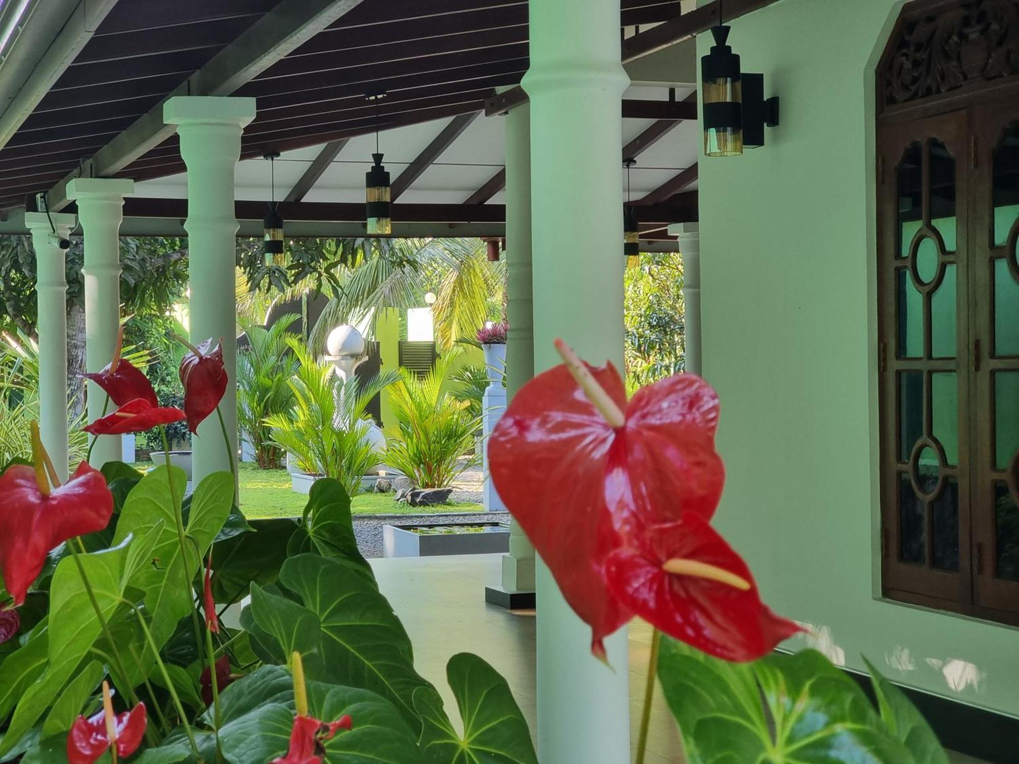 Nima villa Tangalle Exteriör bild